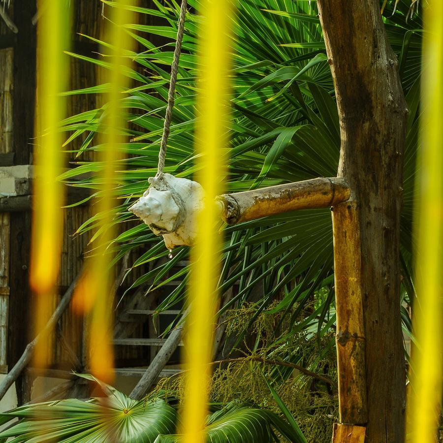 Cabanas Perla Escondida Hotel Dzilam de Bravo Bagian luar foto